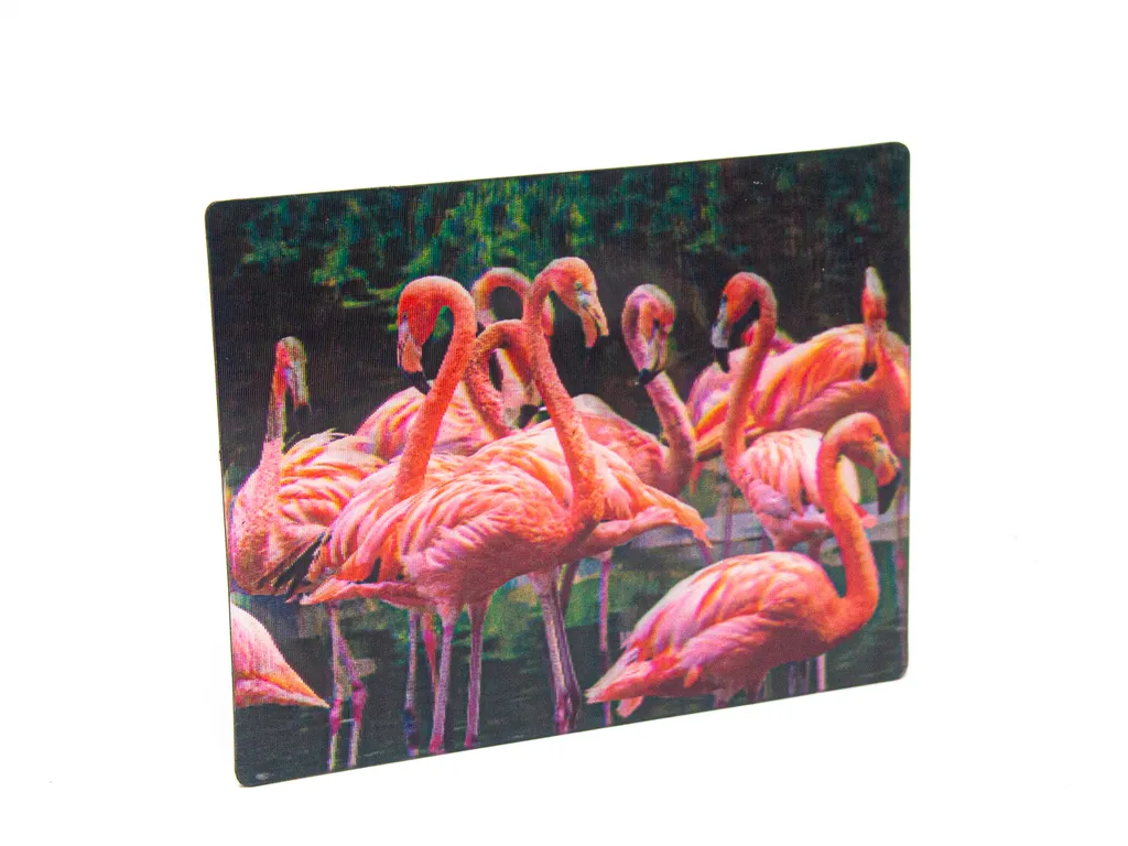 3D Magnet Flamingos